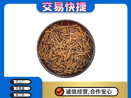 定西市岷县高价回收散虫草